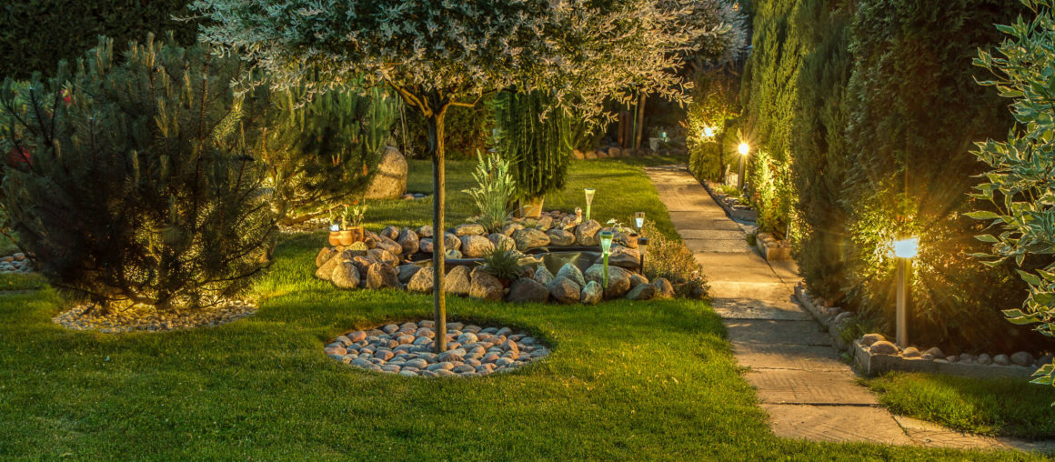 5 Landscaping Services You Should Know About