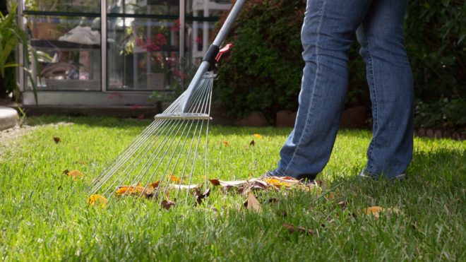 Top 5 Residential Lawn Care Tips