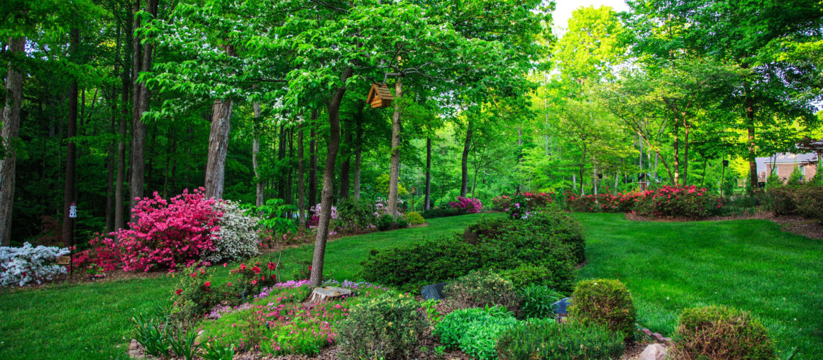 What is Landscaping? Everything You Need To Know