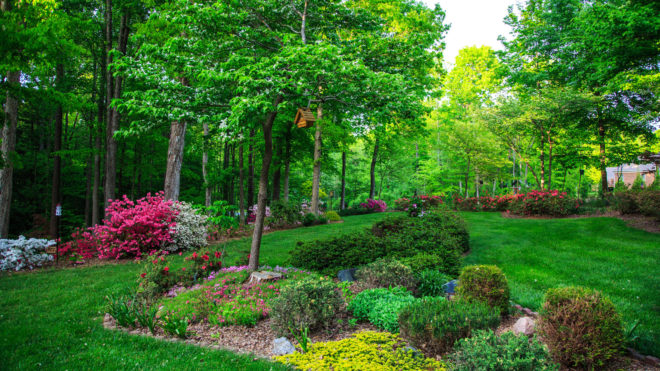 What is Landscaping? Everything You Need To Know