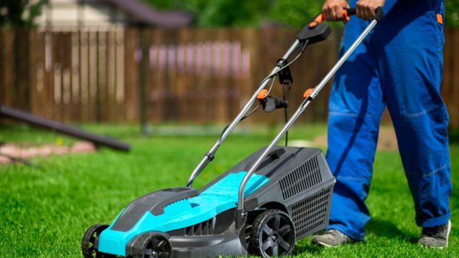 5 Tips on How to Maintain a Lawn at All times